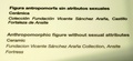 dscn9525.jpg