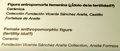 dscn9527.jpg