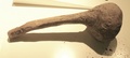dscn9539.jpg