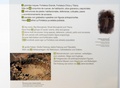 dscn9547.jpg