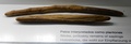 dscn9550.jpg