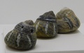 dscn9554.jpg