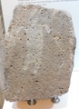 dscn9567.jpg