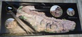 dscn9576.jpg