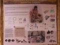 pict0006.jpg
