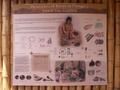 pict0007.jpg