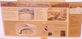 pict0049.jpg