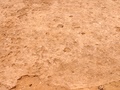 pict0050.jpg