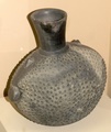 pict0074.jpg