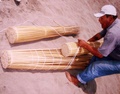pict0089.jpg
