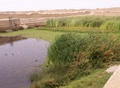 pict0022.jpg