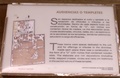 pict0044.jpg