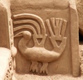 pict0050.jpg