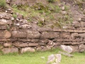pict0022.jpg