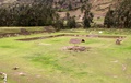 pict0042.jpg