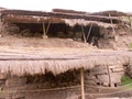pict0062.jpg