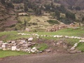 pict0088.jpg