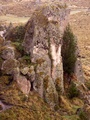 pict0006.jpg