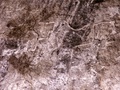 pict0012.jpg