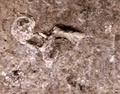 pict0016.jpg