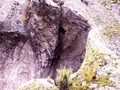 pict0017.jpg