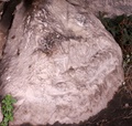 pict0026.jpg