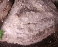 pict0027.jpg