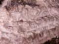 pict0029.jpg
