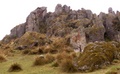 pict0031.jpg