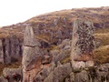 pict0035.jpg
