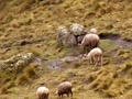 pict0037.jpg
