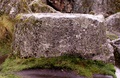 pict0044.jpg