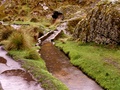 pict0047.jpg