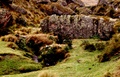 pict0058.jpg