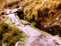 pict0059.jpg