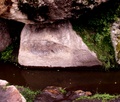 pict0060.jpg