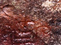 pict0065.jpg