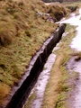 pict0068.jpg