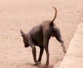 pict0002.jpg