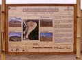 pict0001.jpg