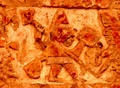 pict0009.jpg