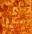 pict0021.jpg