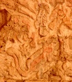 pict0023.jpg