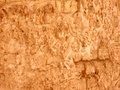 pict0024.jpg