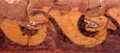 pict0036.jpg