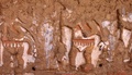 pict0062.jpg