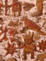 pict0076.jpg
