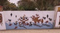 pict0092.jpg