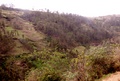 pict0002.jpg