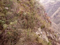 pict0003.jpg